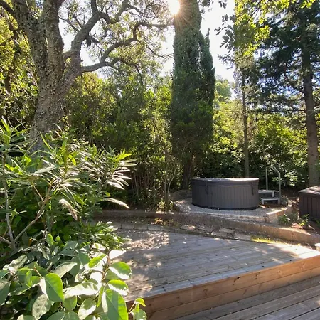 Mas Provencal With Jacuzzi Σπίτι διακοπών