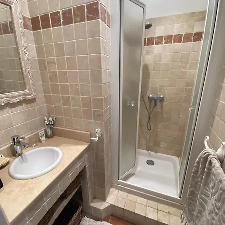 Mas Provencal With Jacuzzi Holiday home